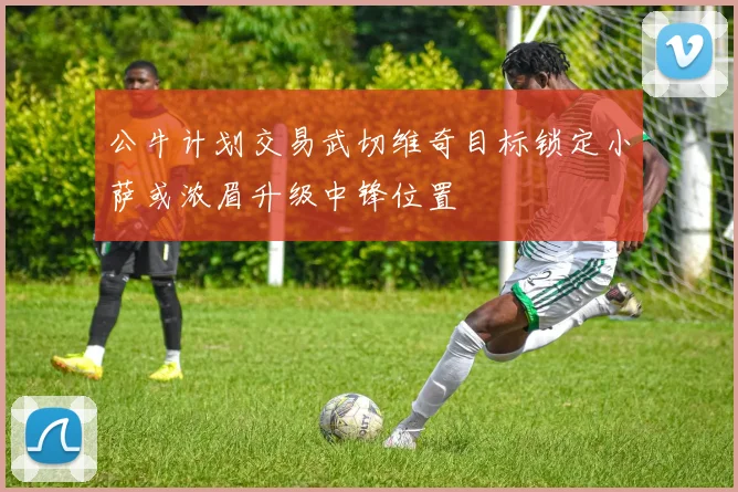 公牛计划交易武切维奇目标锁定小萨或浓眉升级中锋位置