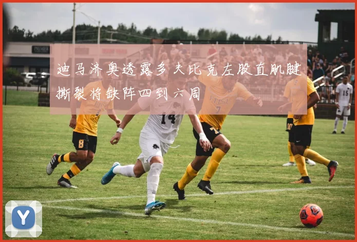 迪马济奥透露多夫比克左股直肌腱撕裂将缺阵四到六周