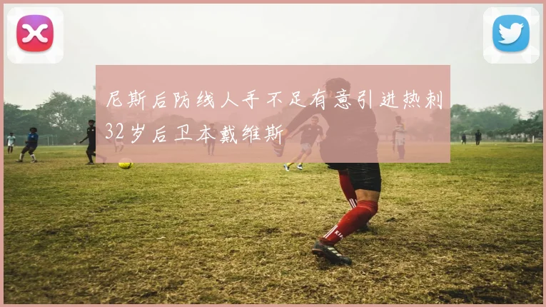 尼斯后防线人手不足有意引进热刺32岁后卫本戴维斯